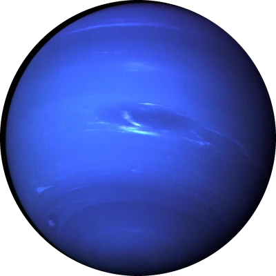 The neptune